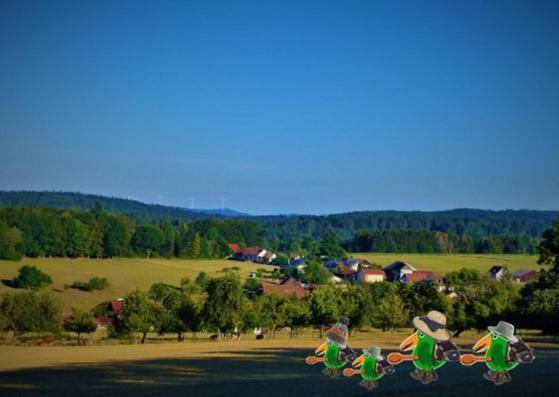 Gruenvogels Landgasthof Zum Gruenen Baum Оберцент Экстерьер фото